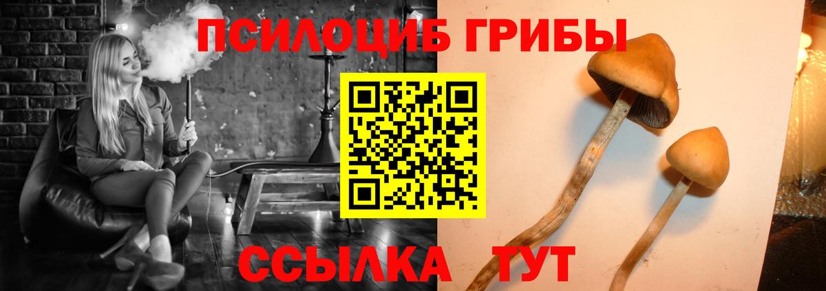 где найти   Псилоцибиновые грибы GOLDEN TEACHER  Вход с VPN  Добрянка 
